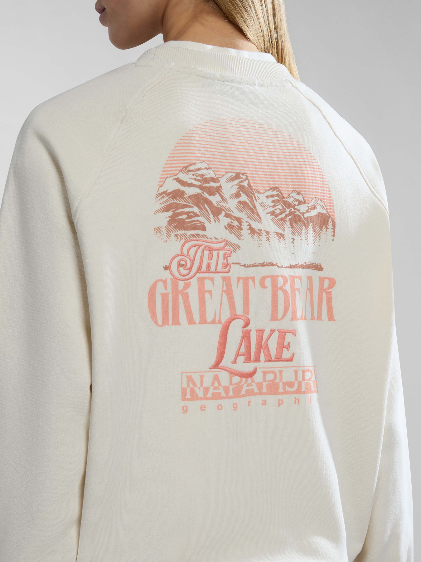 Свитшот Napapijri B-Boyd модель NP0A4HO3N1A1 Фото