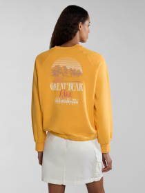 Свитшот Napapijri Boyd Crew модель NP0A4HO3Y1J1 Фото