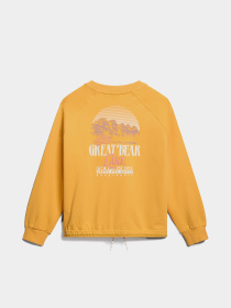 Свитшот Napapijri Boyd Crew модель NP0A4HO3Y1J1 Фото