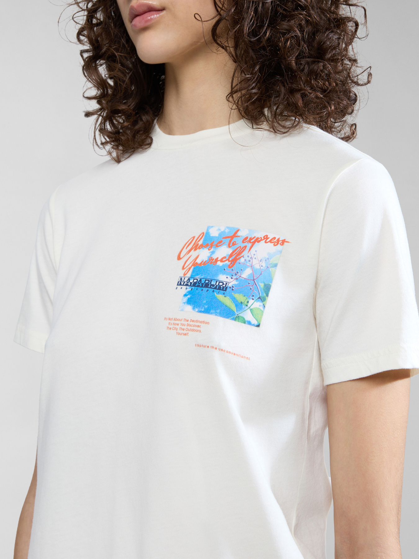 Футболка Napapijri S-Yukon модель NP0A4HOGN1A1 Фото