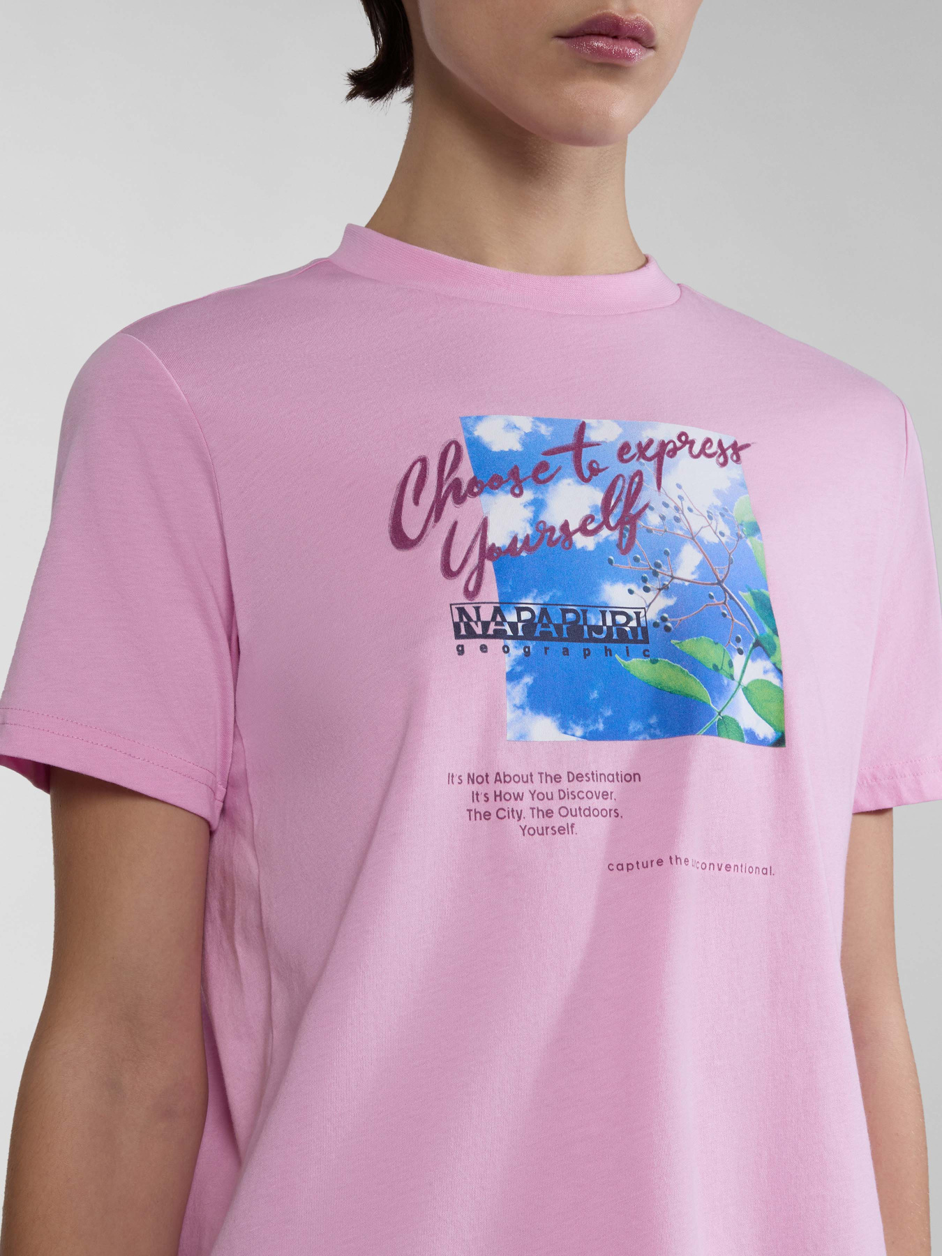 Футболка Napapijri S-Yukon модель NP0A4HOGP1J1 Фото
