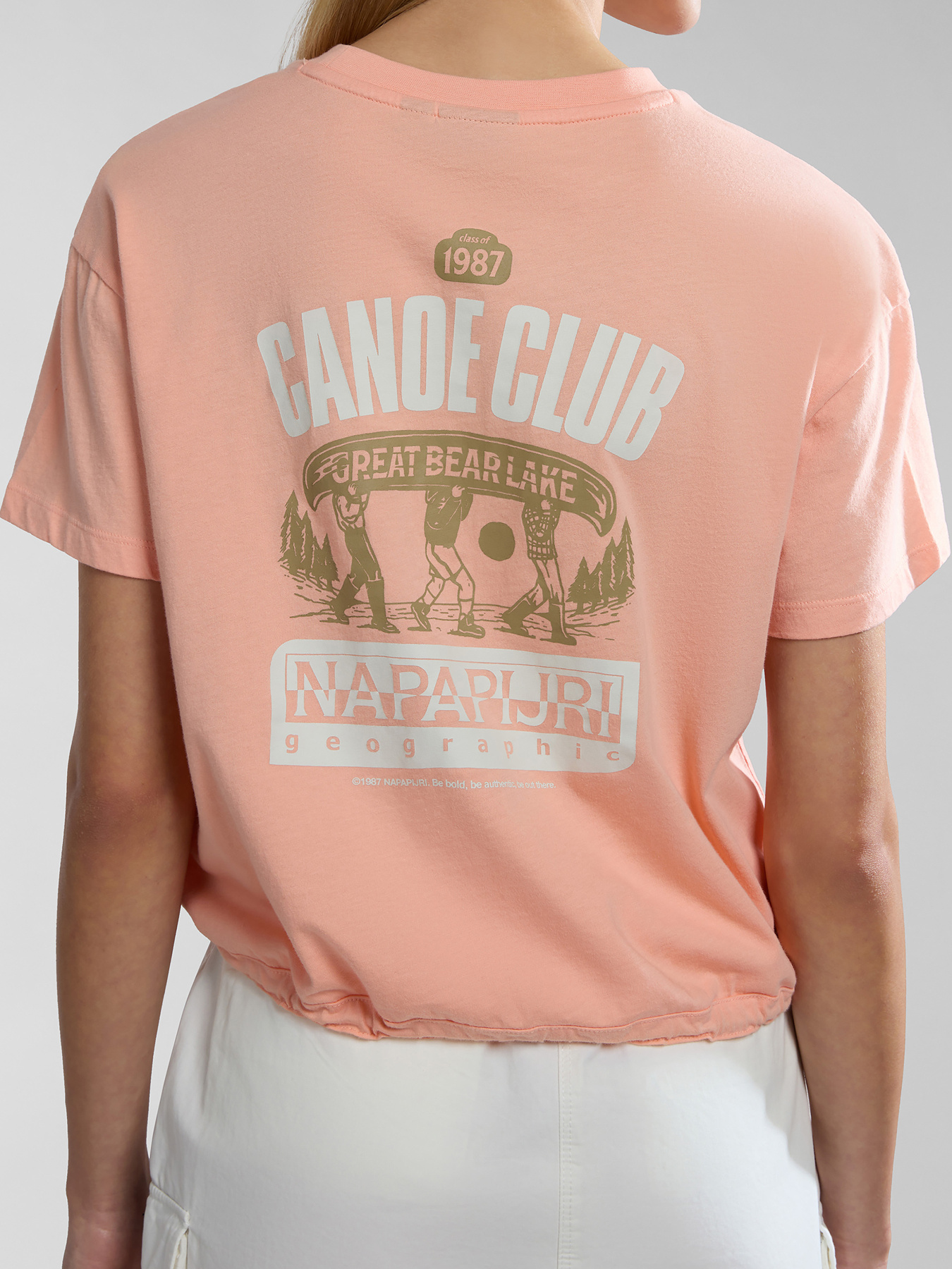 Футболка Napapijri Howard модель NP0A4HOKP1I1 Фото