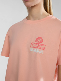 Футболка Napapijri Howard модель NP0A4HOKP1I1 Фото