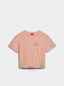 Футболка Napapijri Howard модель NP0A4HOKP1I1 Фото