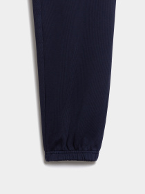 Штаны спортивные Napapijri M-Nina модель NP0A4H861761 Фото