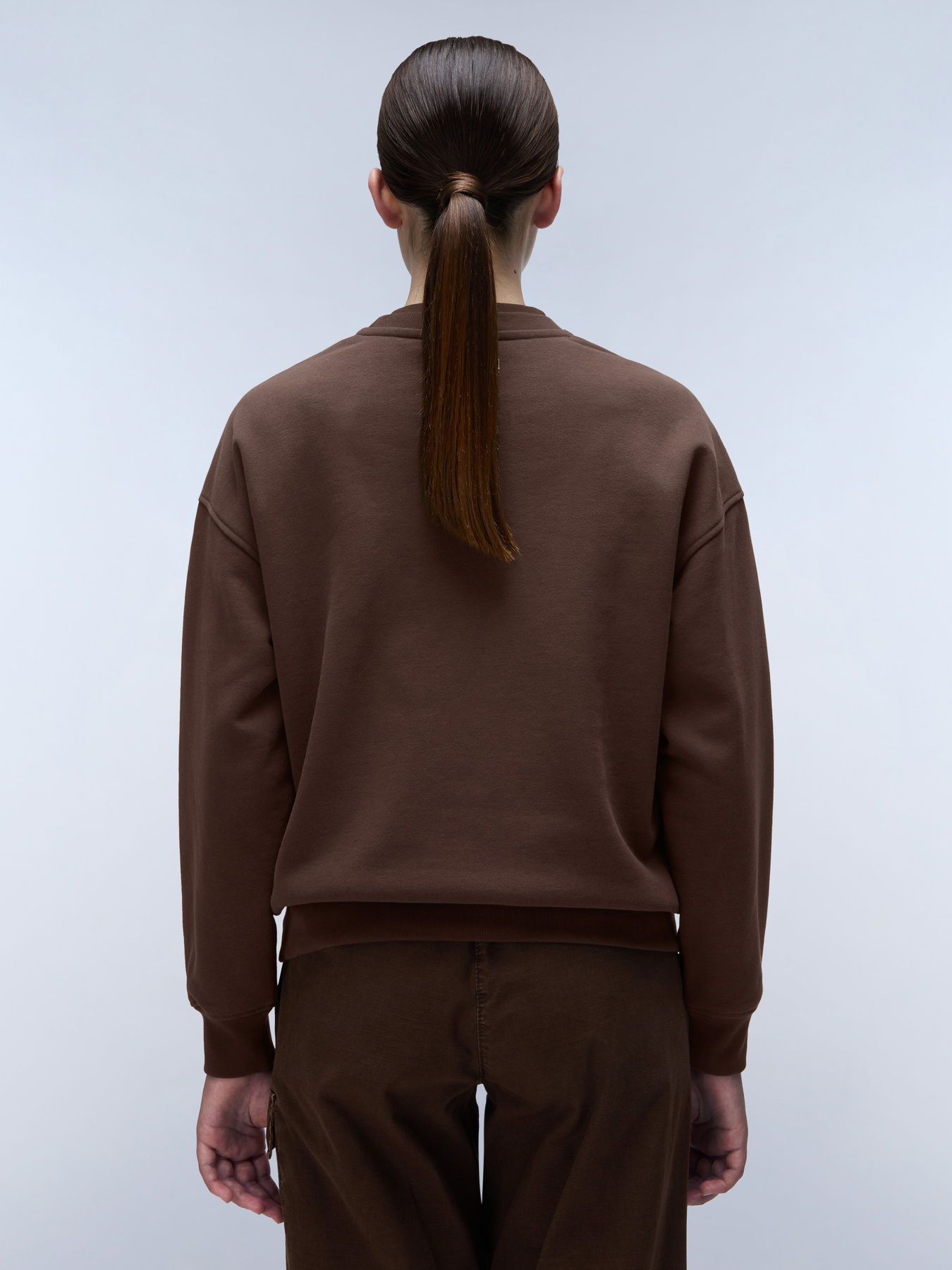 Свитшот Napapijri B-Rhin модель NP0A4HYSW0A1 Фото