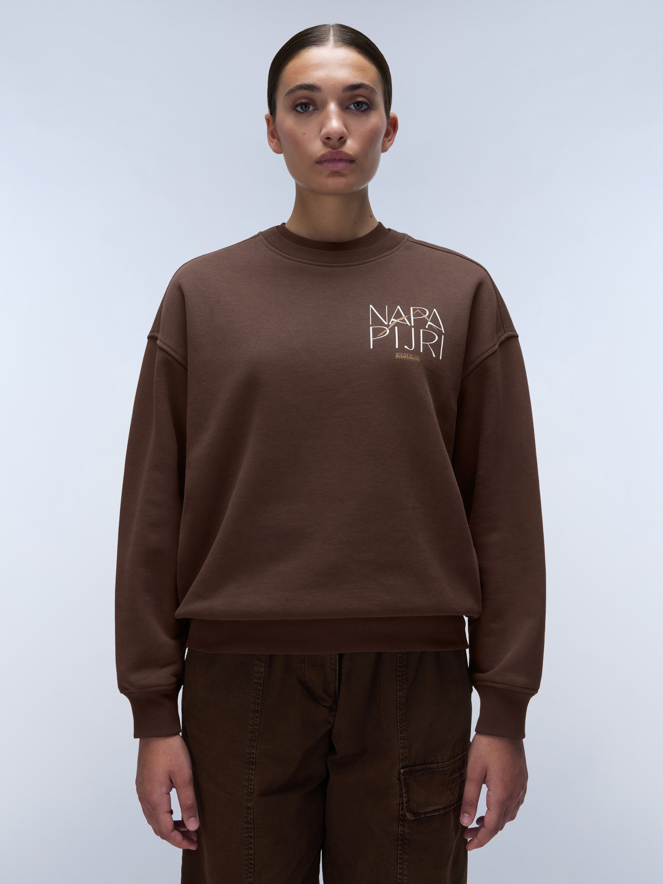 Свитшот Napapijri B-Rhin модель NP0A4HYSW0A1 Фото