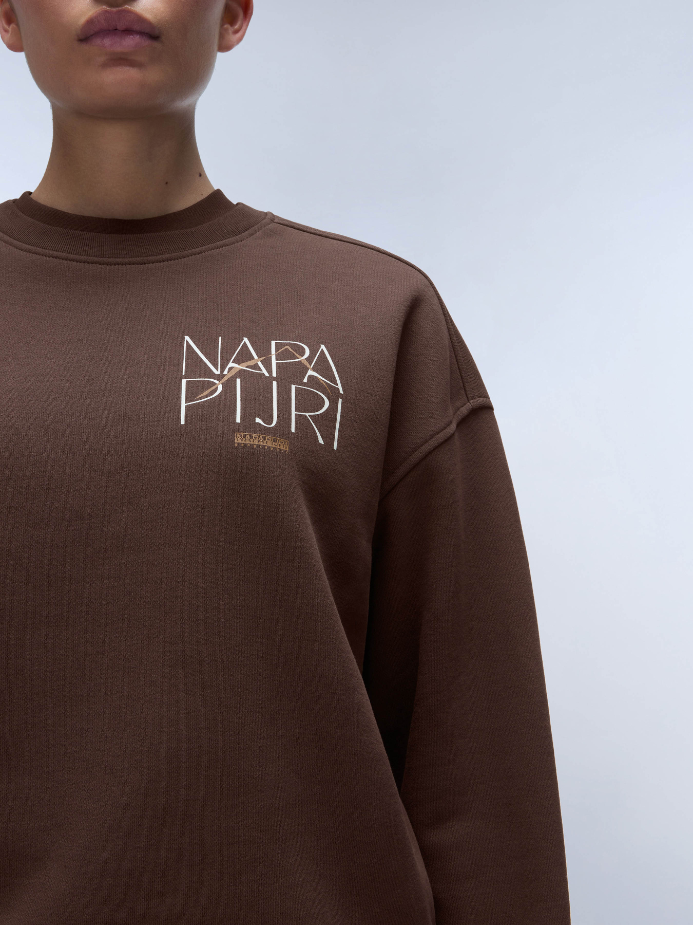 Світшот Napapijri B-Rhin модель NP0A4HYSW0A1 Фото