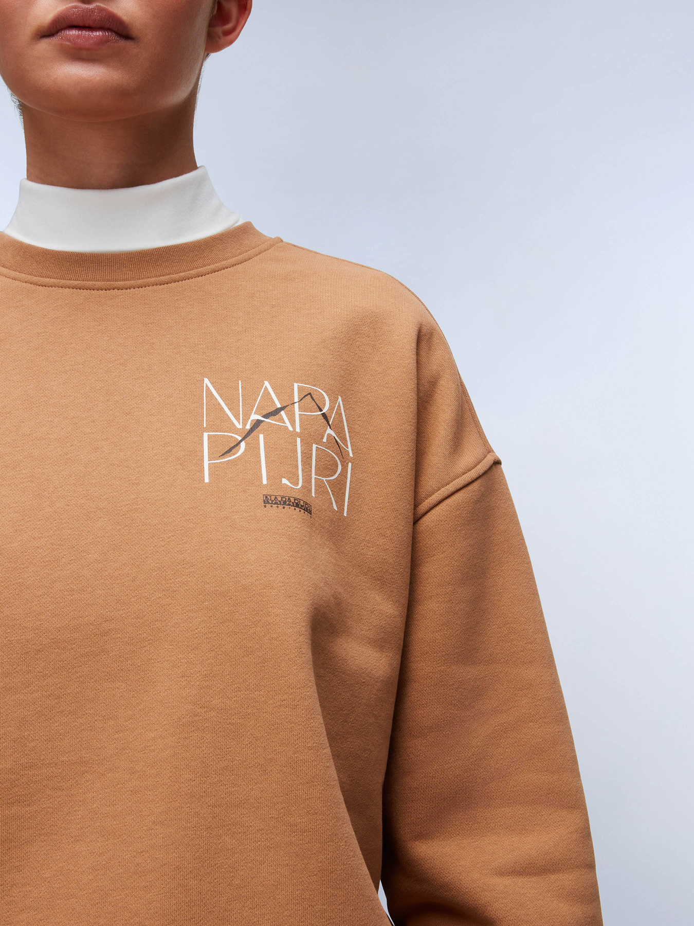 Свитшот Napapijri B-Rhin модель NP0A4HYSW0B1 Фото