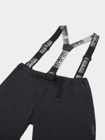 Аутдор и горнолыжные штаны Napapijri M-Gele Ski модель NP0A4HZ80411 Фото