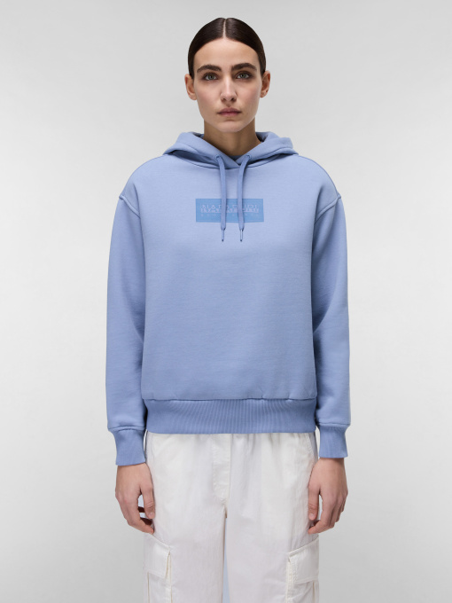 Худи Napapijri Box Logo модель NP0A4HYQB2S1 Фото