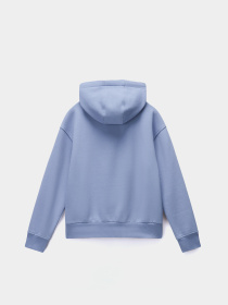 Худі Napapijri Box Logo модель NP0A4HYQB2S1 Фото