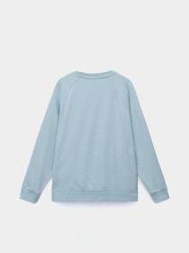 Свитшот Napapijri Fete модель NP0A4IEZG1W1 Фото