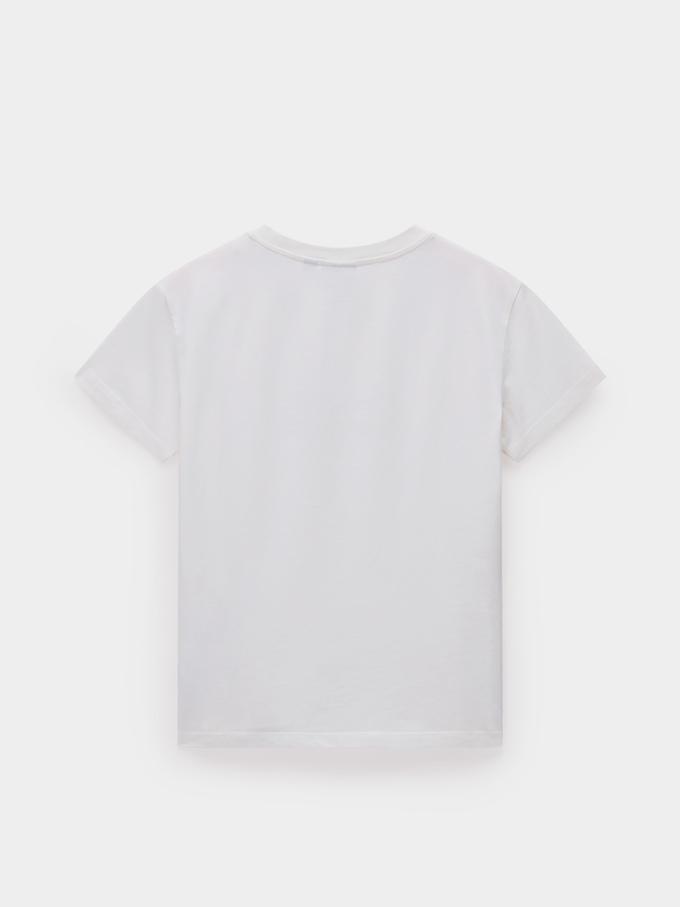 Футболка Napapijri S-Box модель NP0A4IP12061 Фото