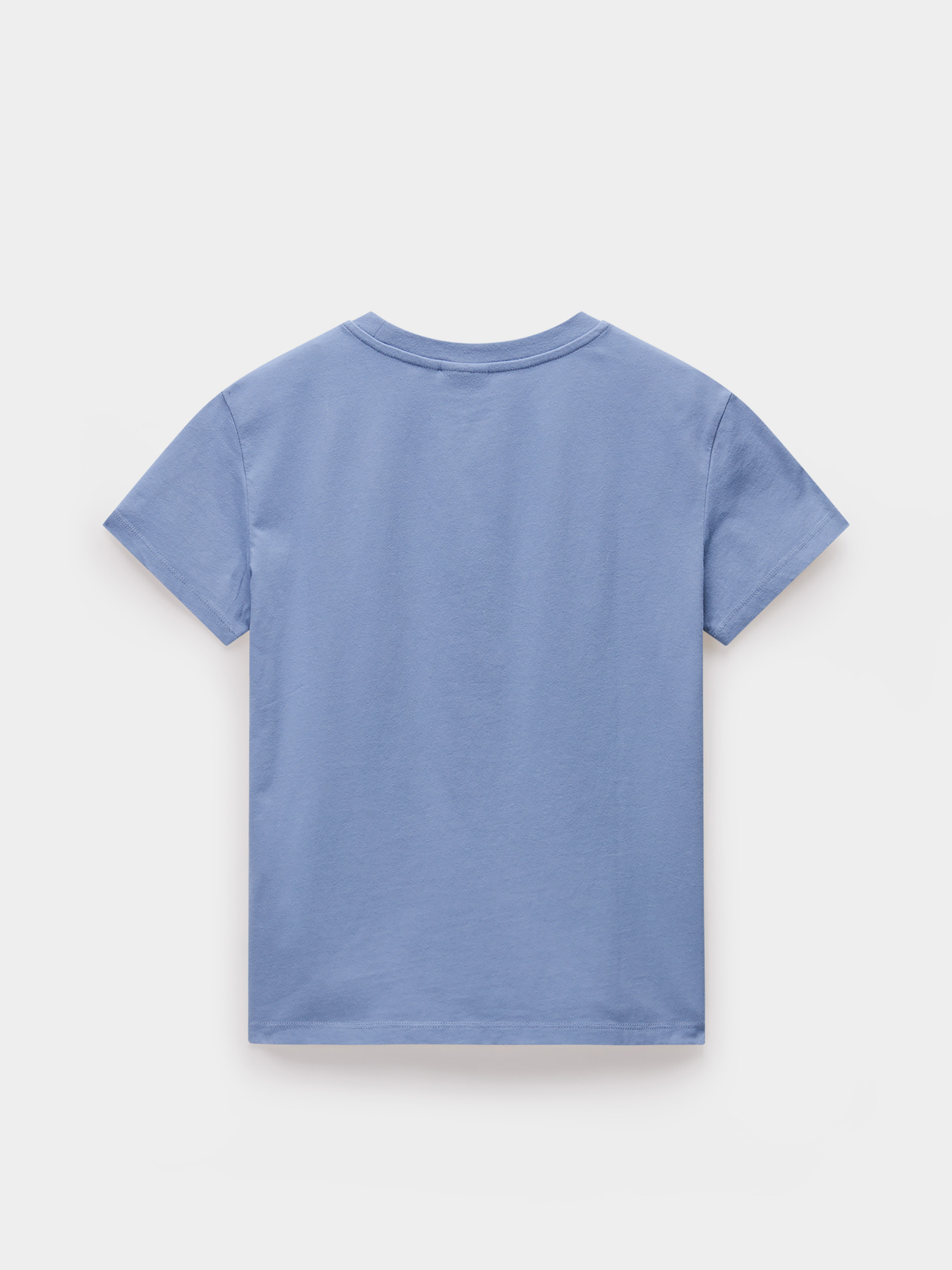 Футболка Napapijri S-Box модель NP0A4IP1B2S1 Фото