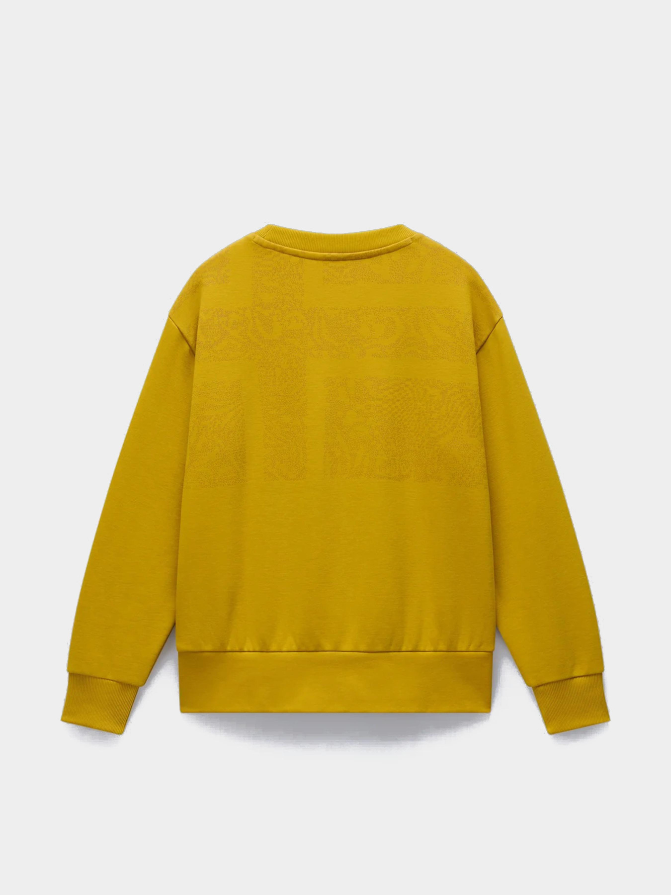 Свитшот Napapijri Campido модель NP0A88X7Y1O1 Свитшот Napapijri Campido модель NP0A88X7Y1O1 Фото