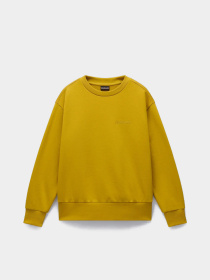 Свитшот Napapijri Campido модель NP0A88X7Y1O1 Свитшот Napapijri Campido модель NP0A88X7Y1O1 Фото