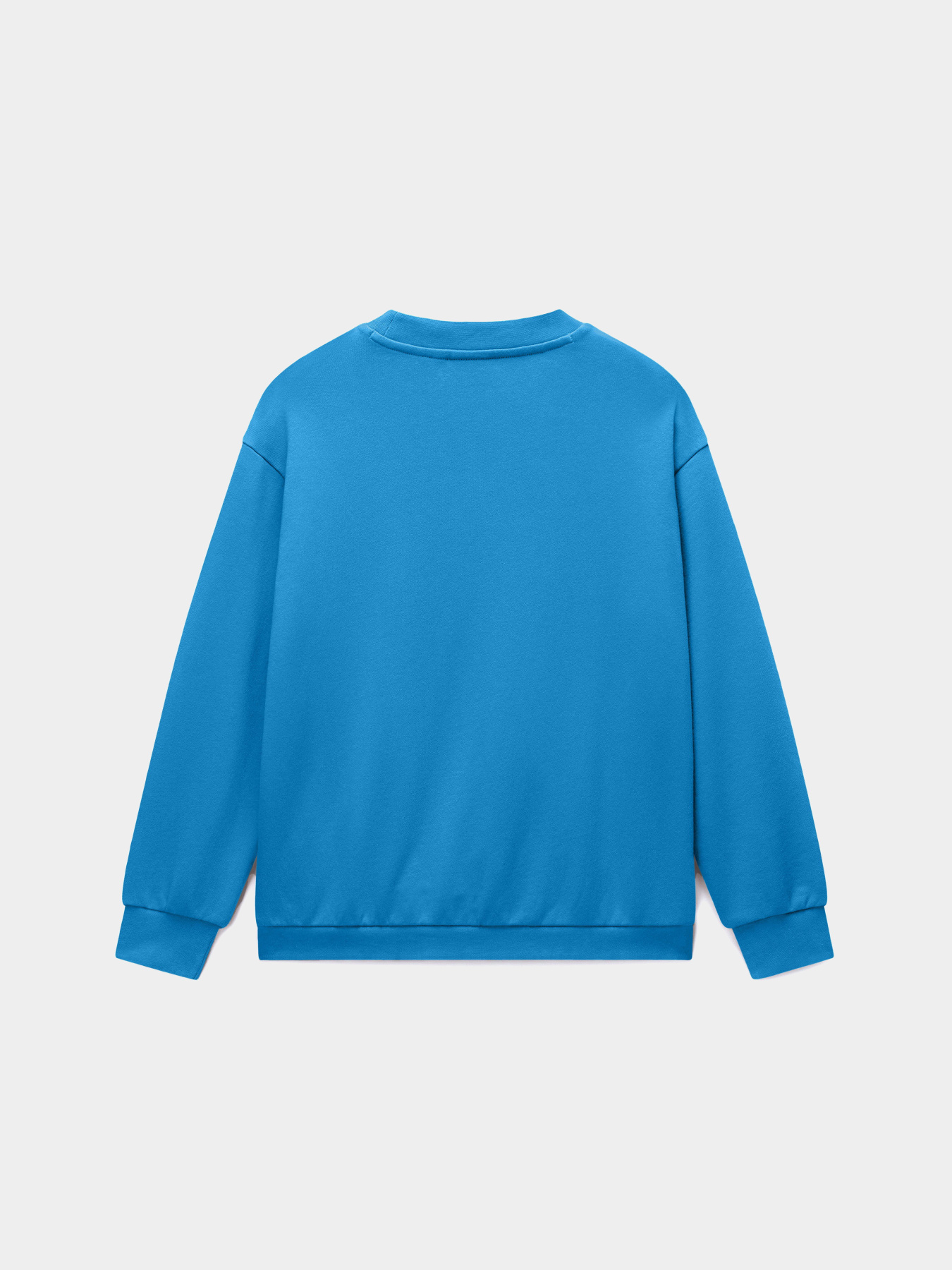 Світшот Napapijri B-ANTIMONY модель NP0A4HHHB9A1 Фото