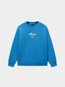 Світшот Napapijri B-ANTIMONY модель NP0A4HHHB9A1 Фото