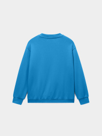 Світшот Napapijri B-ANTIMONY модель NP0A4HHHB9A1 Фото