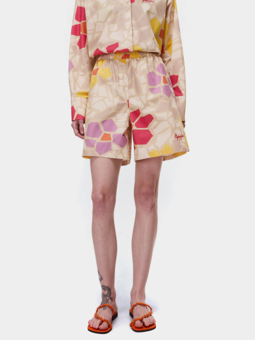 Шорты Napapijri N-ANIONS модель NP0A4G6NFG91 Фото