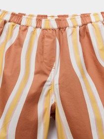 Шорты Napapijri N-ANIONS модель NP0A4G6NSEY1 Фото