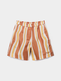 Шорты Napapijri N-ANIONS модель NP0A4G6NSEY1 Фото