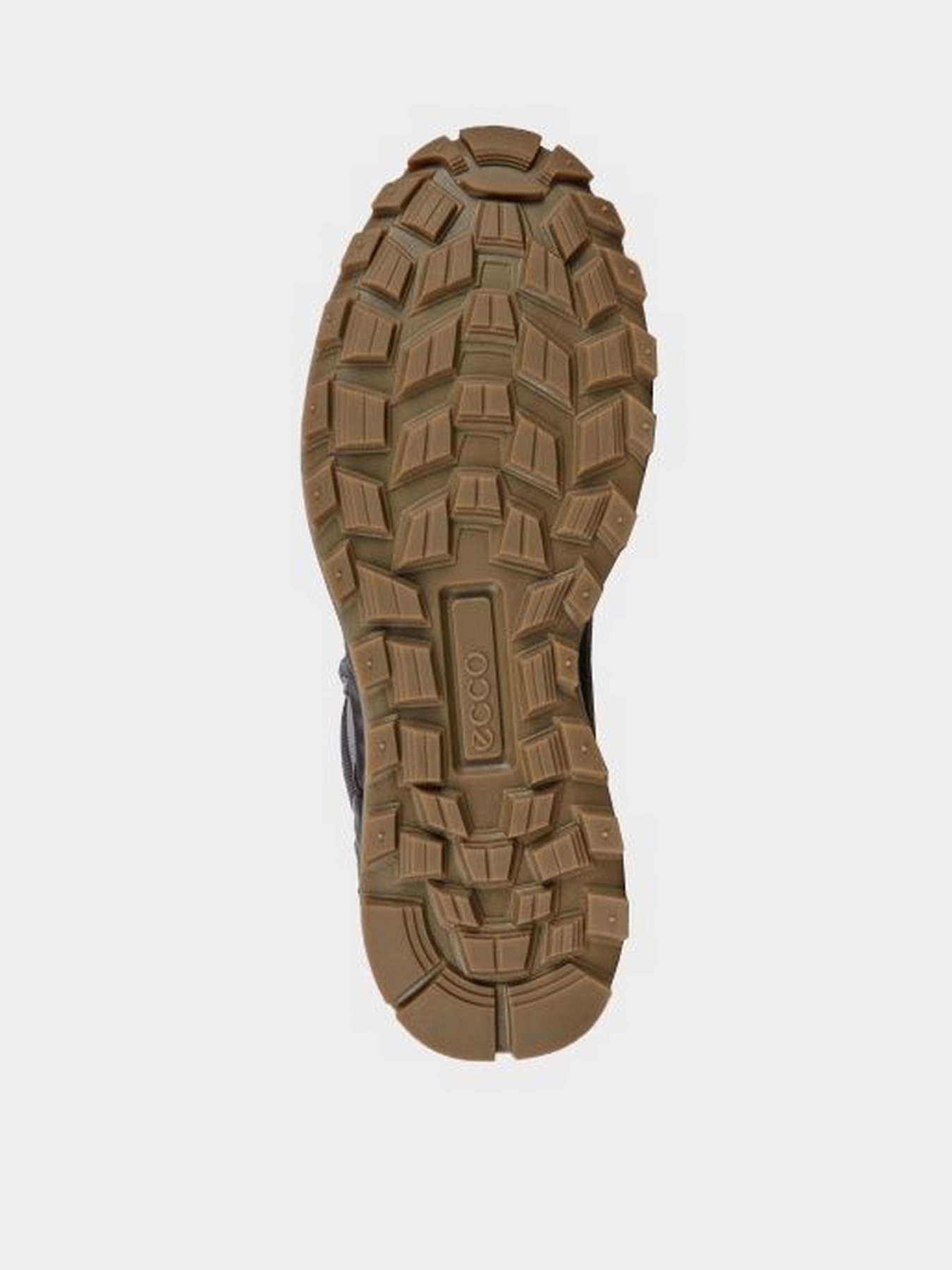 Ботинки ECCO EXOSTRIKE модель 83230401602 Фото