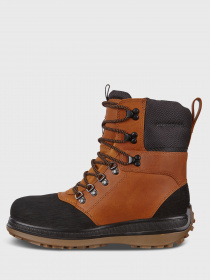 Ботинки для активного отдыха ECCO Roxton модель 53208459200 Фото