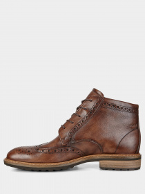 Ботинки ECCO Vitrus модель 64032401009 Фото