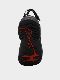 Сандалії ECCO Offroad Модель 06956451693 Фото