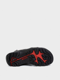 Сандалии ECCO Offroad модель 06956457182 Сандалии ECCO Offroad модель 06956457182 Фото