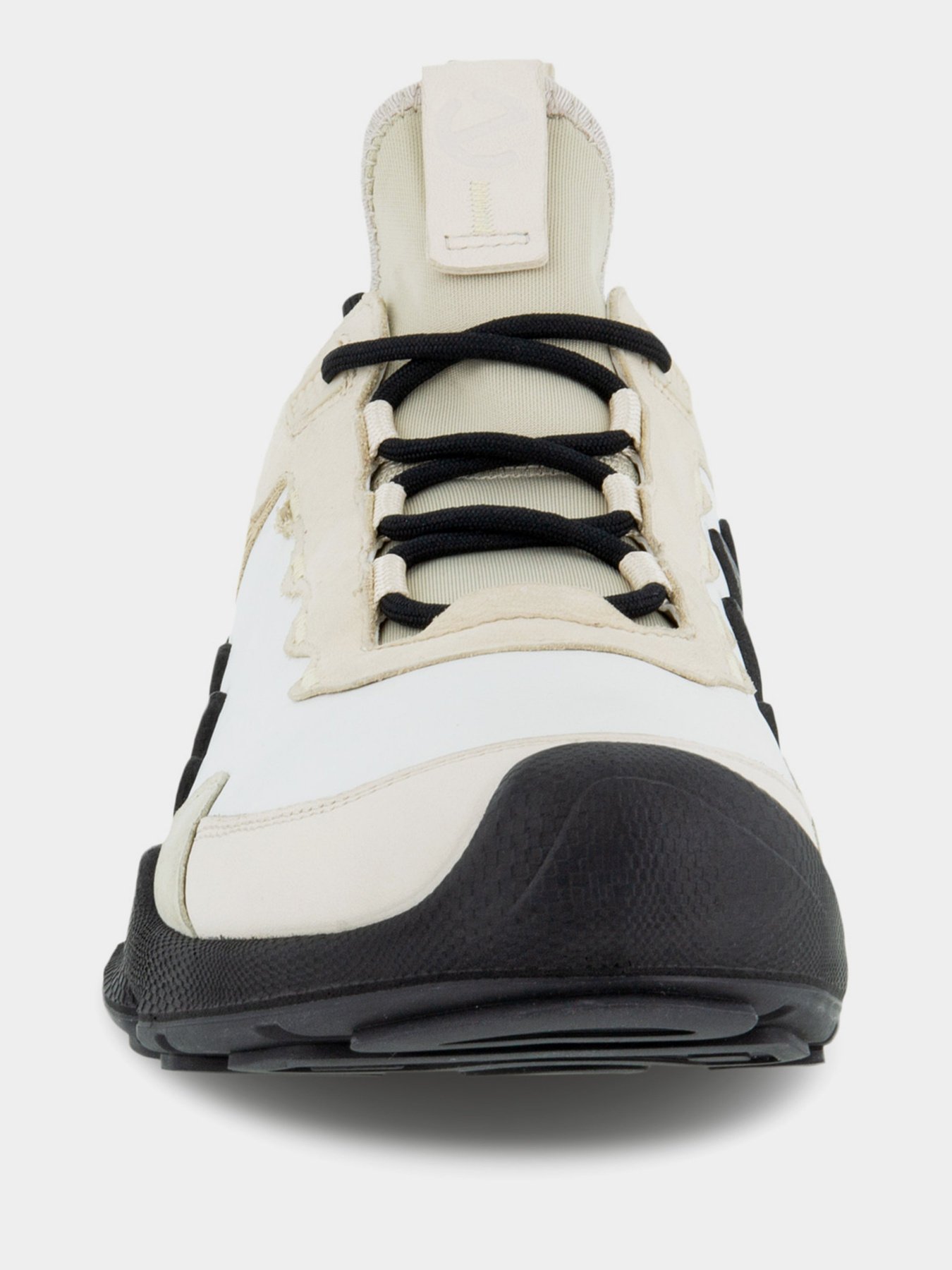 Кросівки для тренувань ECCO BIOM AEX модель 80281452578 Фото