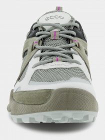 Кросівки для тренувань ECCO BIOM C-TRAIL модель 80310452574 Фото