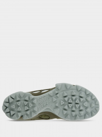 Кроссовки для спорта ECCO BIOM C-TRAIL модель 80310452574 Кроссовки для спорта ECCO BIOM C-TRAIL модель 80310452574 Фото