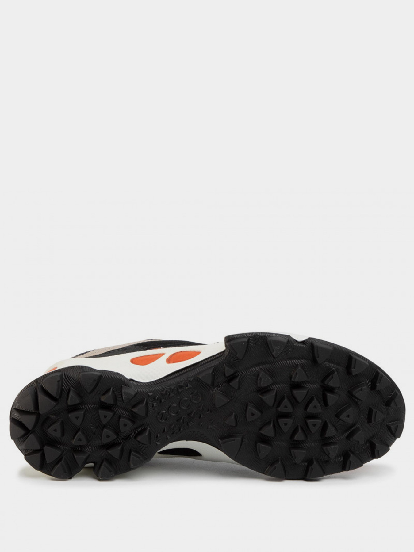 Кроссовки для спорта ECCO BIOM C-TRAIL модель 80310451829 Фото