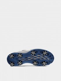 Кроссовки для тренировок ECCO Golf Biom G3 модель 13182401007 Фото