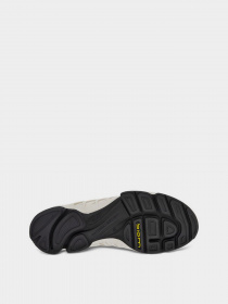 Кроссовки ECCO BIOM AEX модель 80281452571 Фото