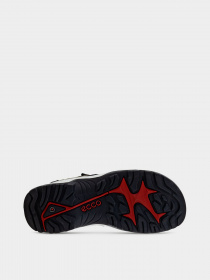 Сандалії ECCO Offroad модель 82217405543 Сандалії ECCO Offroad модель 82217405543 Фото