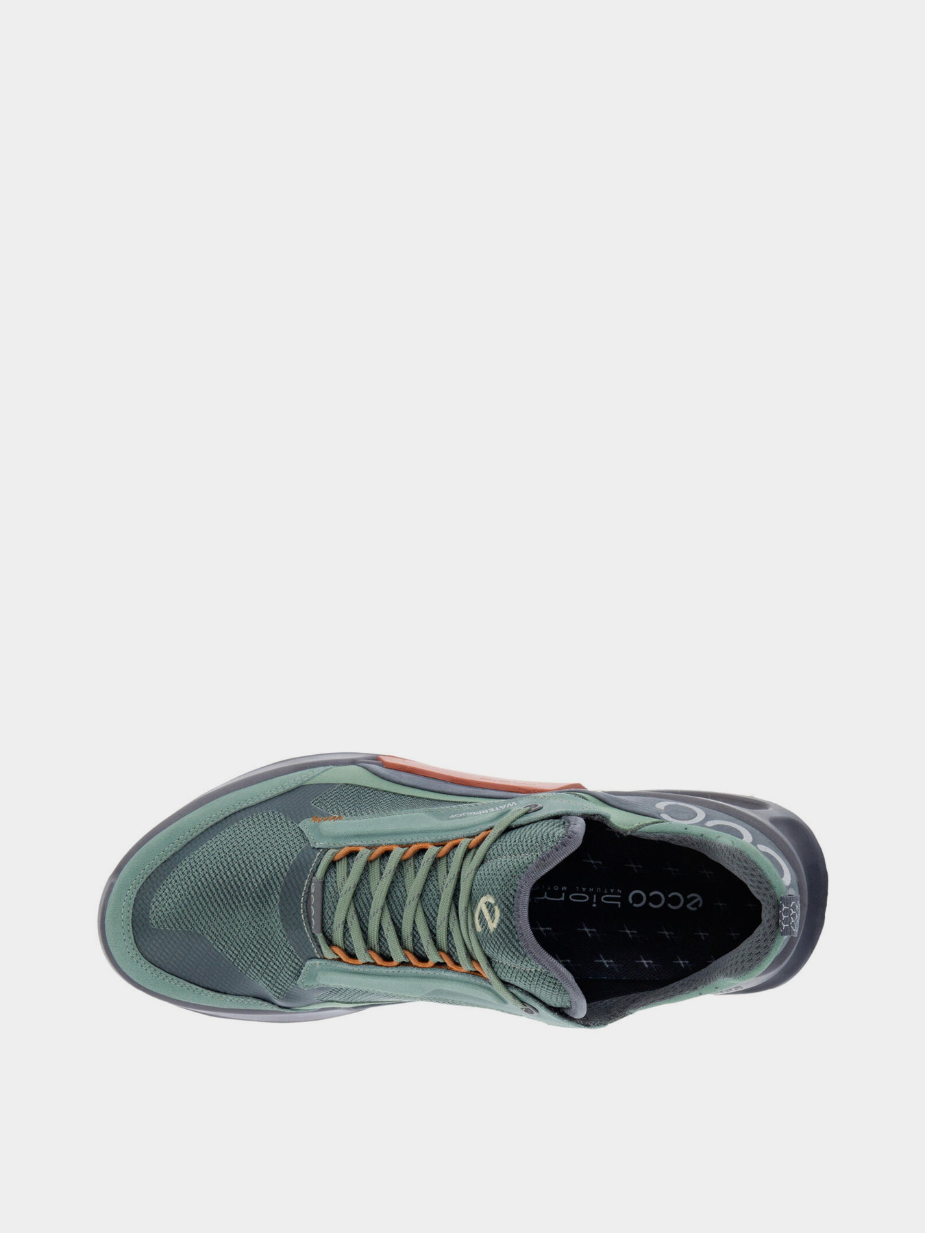 Кросівки ECCO BIOM 2.1 x MOUNTAIN модель 82381460569 Фото