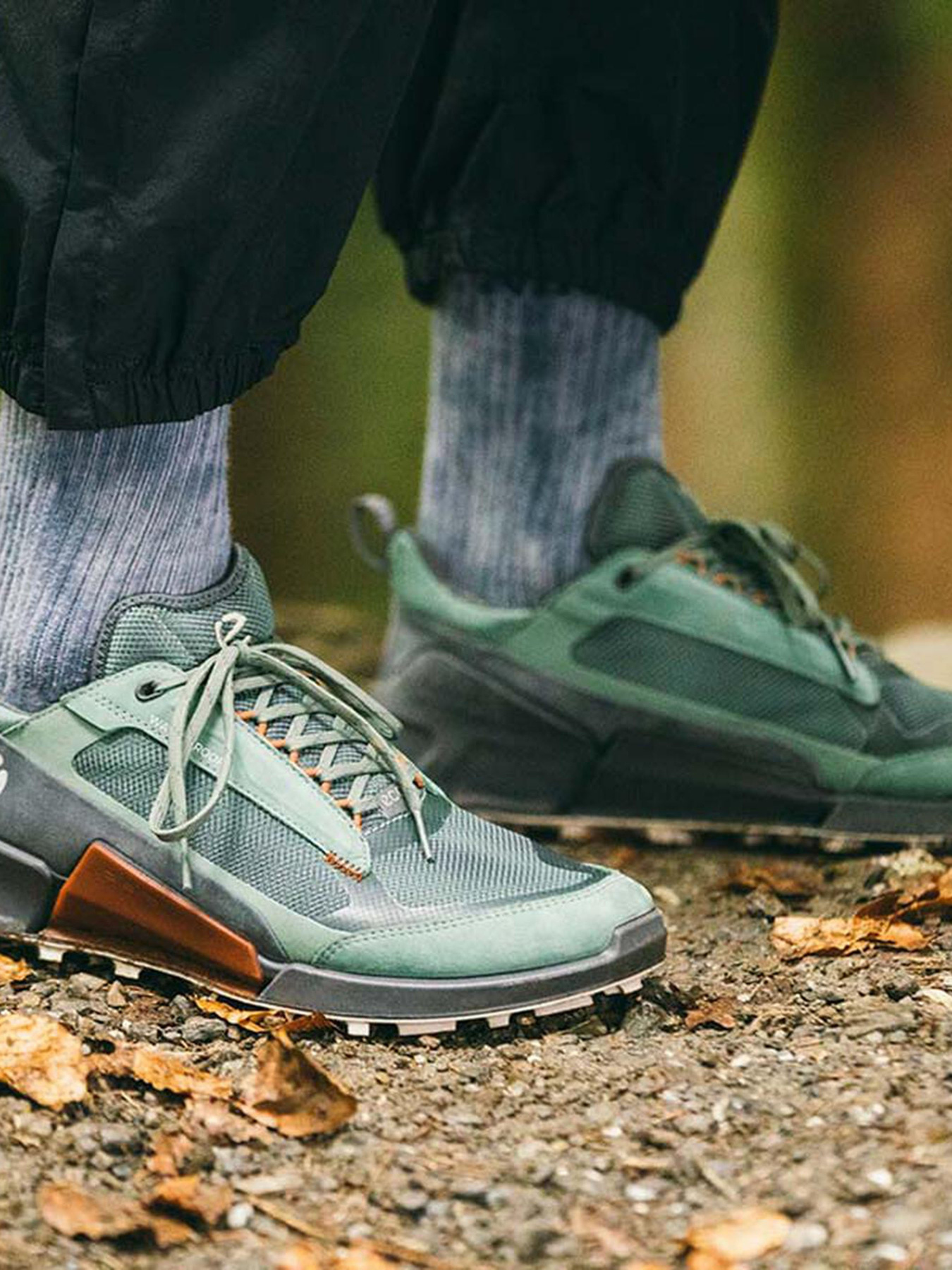 Кросівки повсякденні ECCO BIOM 2.1 x MOUNTAIN модель 82381460569 Фото