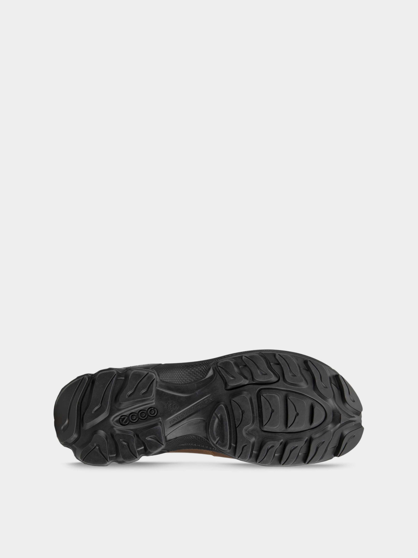 Ботинки ECCO Biom Hike модель 81159401482 Фото