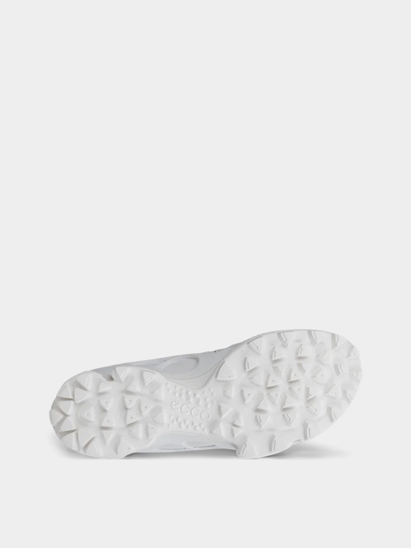 Кросівки ECCO Biom C-Trail модель 80322450153 Фото