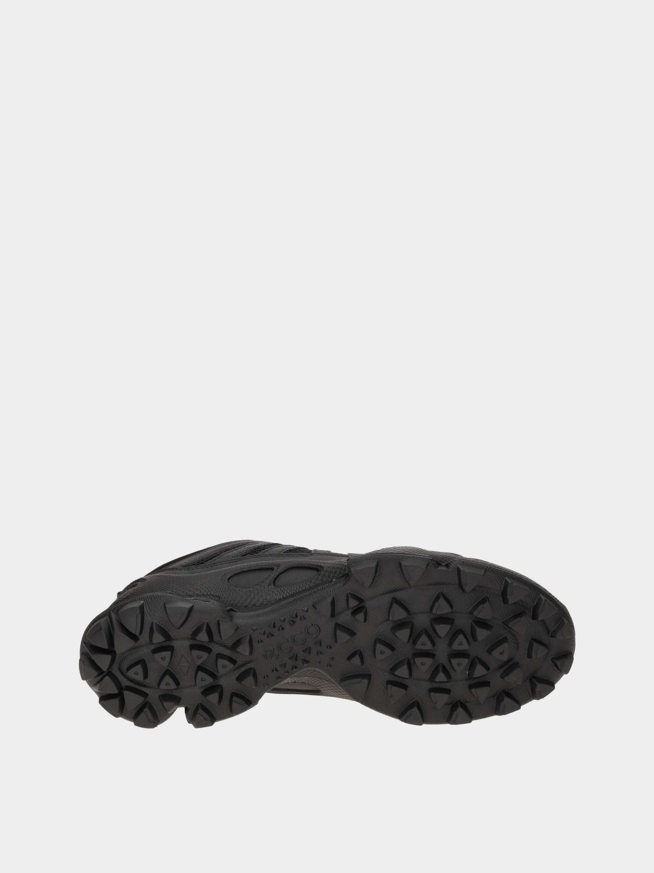 Кросівки ECCO Biom C-Trail модель 80322451052 Фото