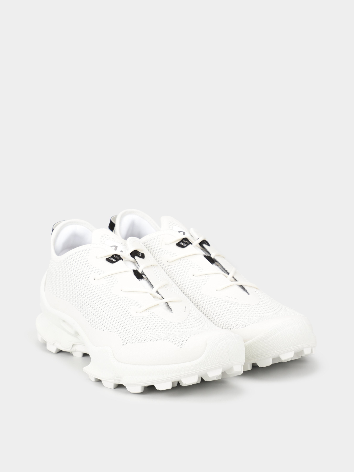 Кросівки ECCO Biom C-Trail модель 80323450236 Фото