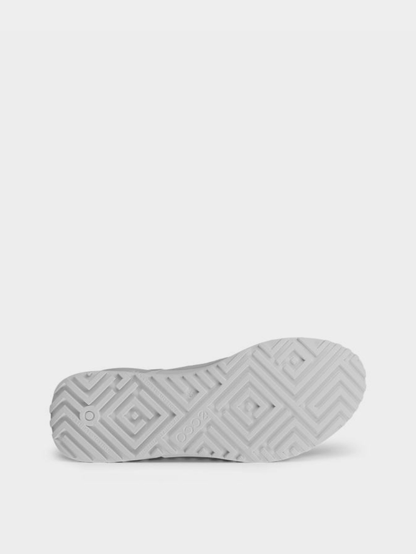 Кроссовки ECCO Biom 2.0 Boa модель 80087401007 Фото