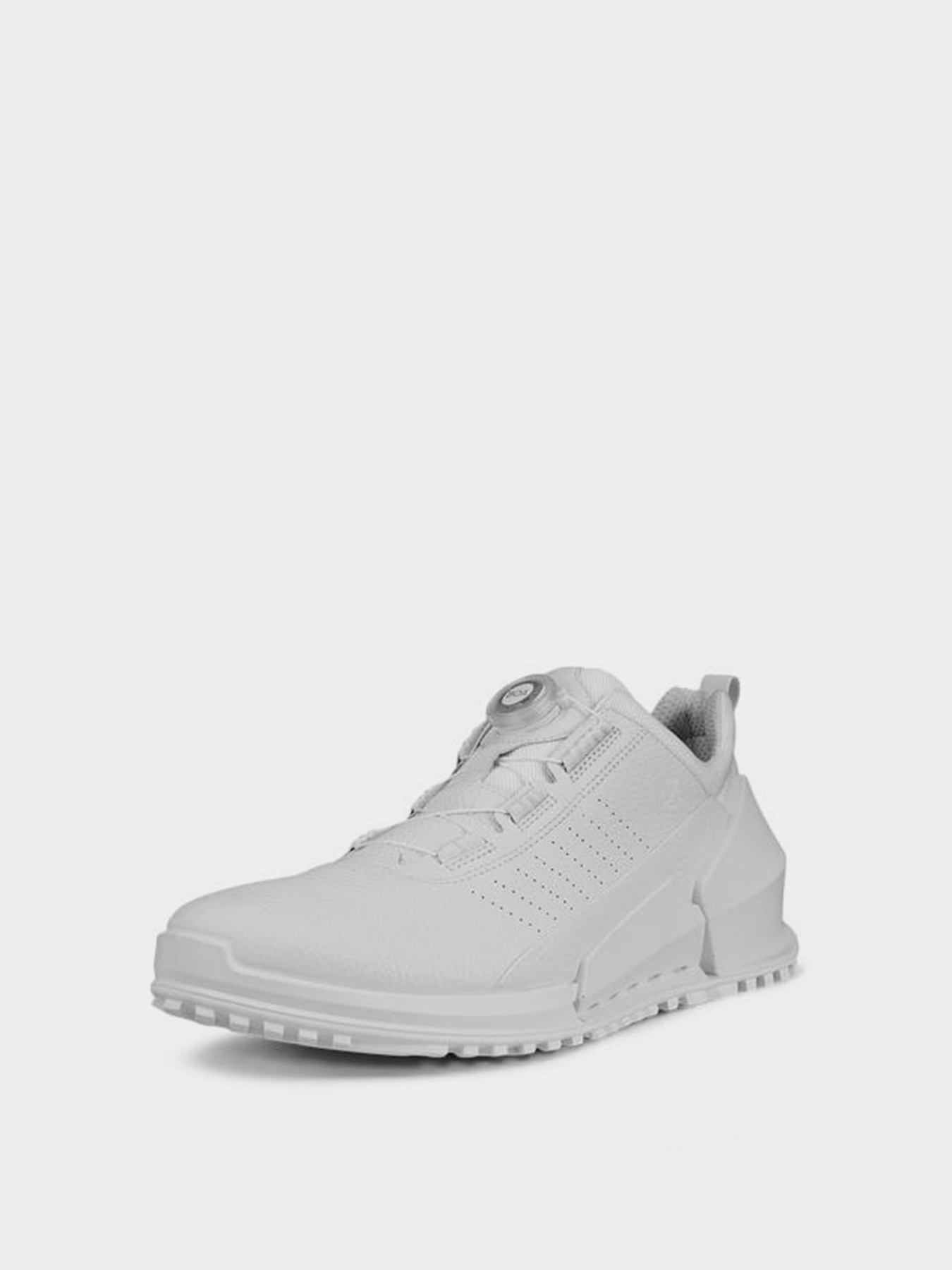 Кроссовки повседневные ECCO Biom 2.0 Boa модель 80087401007 Фото