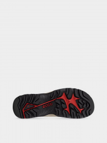 Кросівки ECCO Offroad модель 82233460827 Фото