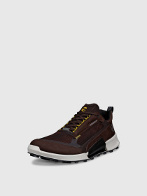 Кроссовки ECCO Biom 2.1 x Mountain модель 82381460993 Фото