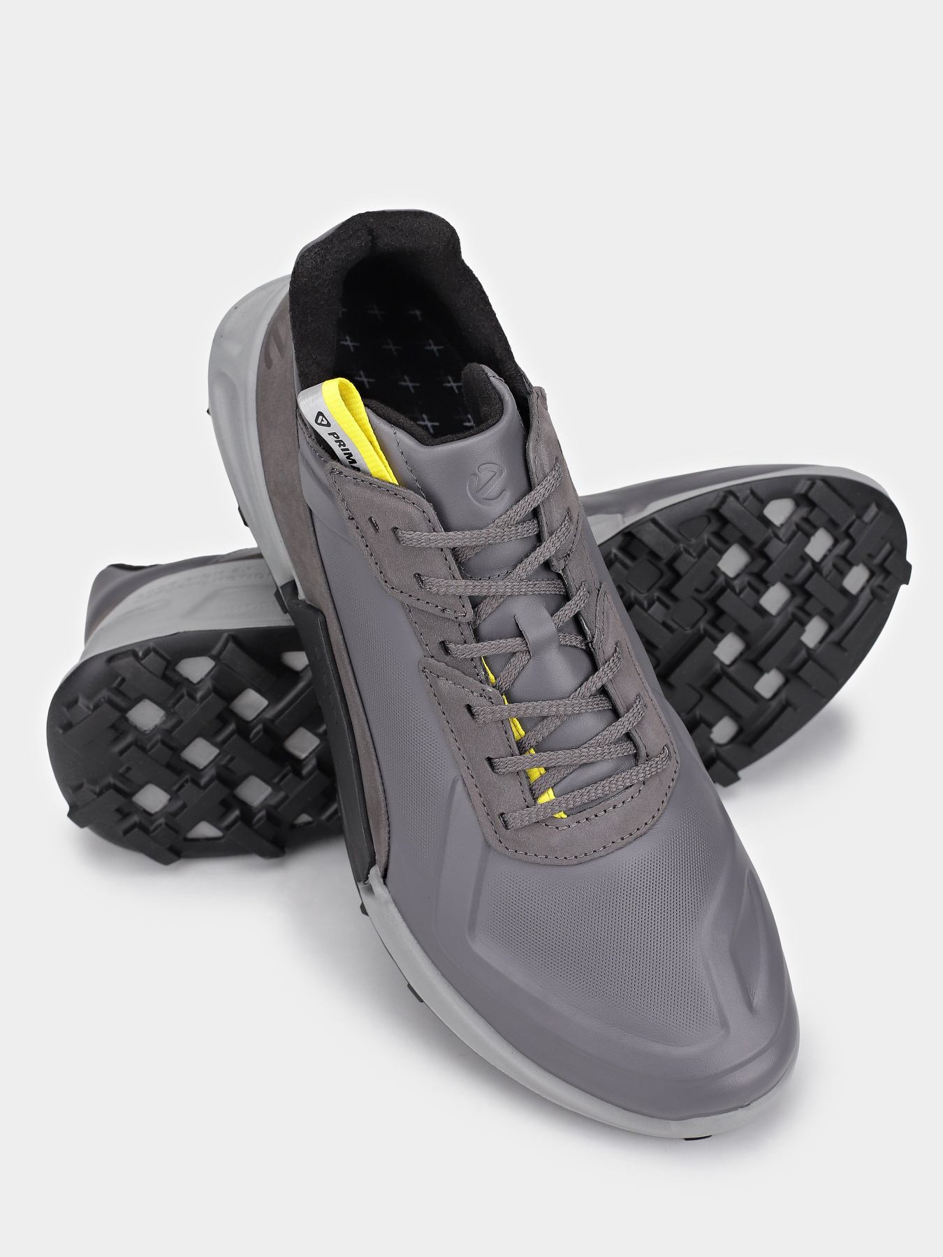 Кроссовки ECCO Biom 2.1 x Mountain модель 82387450869 Фото